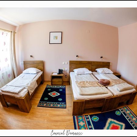 Hotel Conacul Domnesc Scheia Zewnętrze zdjęcie