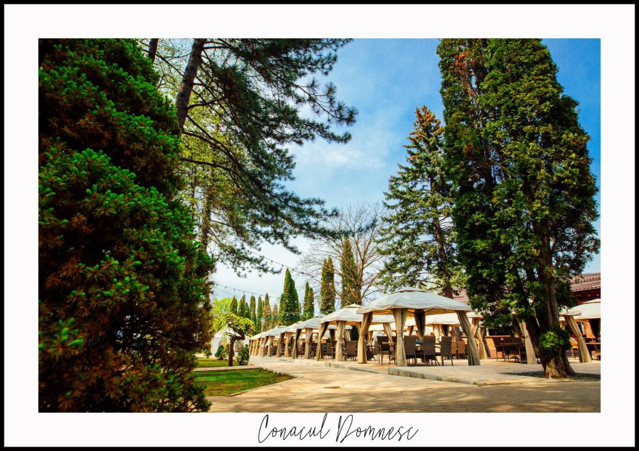 Hotel Conacul Domnesc Scheia Zewnętrze zdjęcie