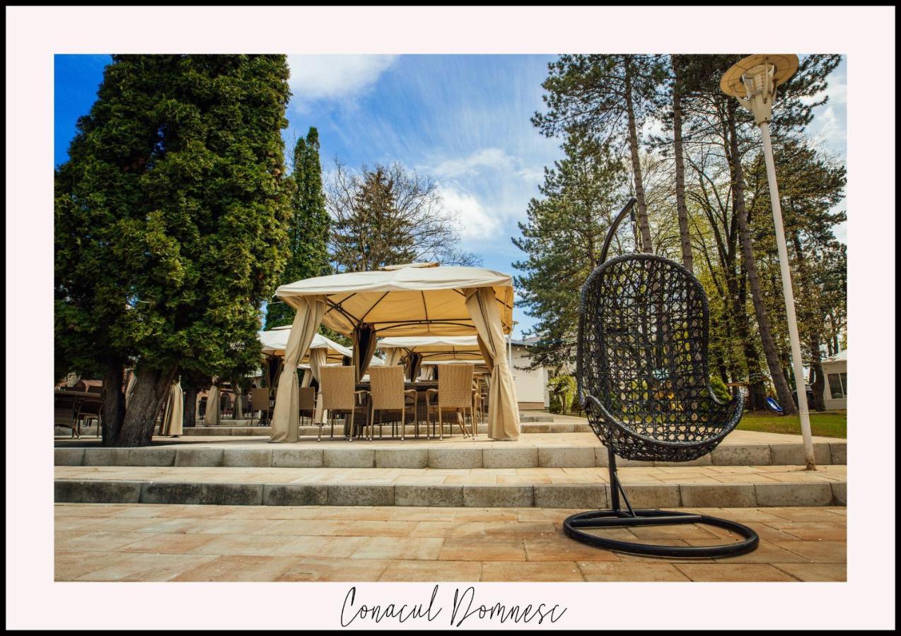 Hotel Conacul Domnesc Scheia Zewnętrze zdjęcie